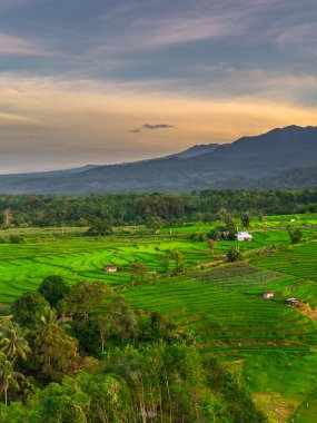 Endonezya 'nın harika gündoğumu manzarası. Parlak gökyüzü ile doğa vadisi ormanı.