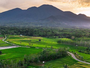 Endonezya 'nın harika gündoğumu manzarası. Parlak gökyüzü ile doğa vadisi ormanı.