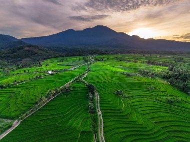 Endonezya 'nın harika gündoğumu manzarası. Parlak gökyüzü ile doğa vadisi ormanı.