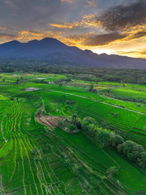 Endonezya 'nın harika gündoğumu manzarası. Parlak gökyüzü ile doğa vadisi ormanı.