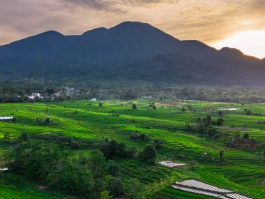 Endonezya 'nın harika gündoğumu manzarası. Parlak gökyüzü ile doğa vadisi ormanı.