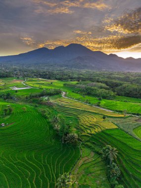 Endonezya 'nın harika gündoğumu manzarası. Parlak gökyüzü ile doğa vadisi ormanı.