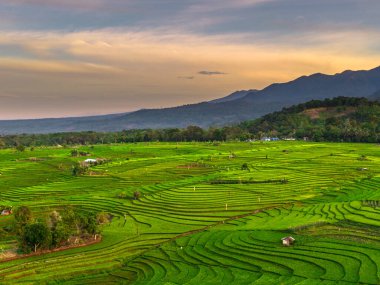 Endonezya 'nın harika gündoğumu manzarası. Parlak gökyüzü ile doğa vadisi ormanı.