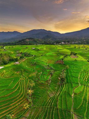 Endonezya 'nın harika gündoğumu manzarası. Parlak gökyüzü ile doğa vadisi ormanı.