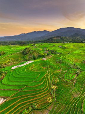 Endonezya 'nın harika gündoğumu manzarası. Parlak gökyüzü ile doğa vadisi ormanı.