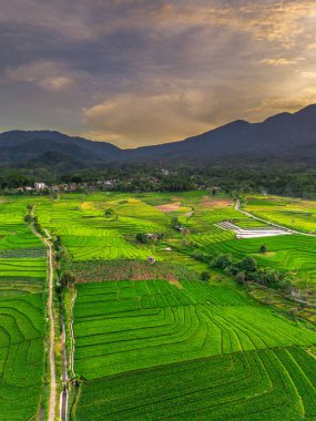Endonezya 'nın harika gündoğumu manzarası. Parlak gökyüzü ile doğa vadisi ormanı.