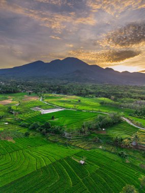 Endonezya 'nın harika gündoğumu manzarası. Parlak gökyüzü ile doğa vadisi ormanı.