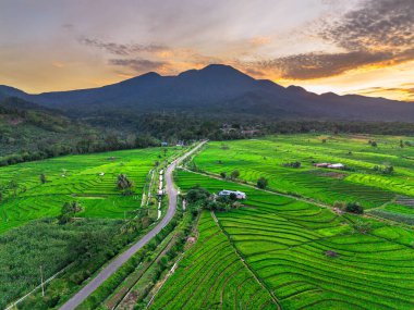 Endonezya 'nın harika gündoğumu manzarası. Parlak gökyüzü ile doğa vadisi ormanı.