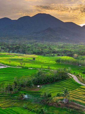Endonezya 'nın harika gündoğumu manzarası. Parlak gökyüzü ile doğa vadisi ormanı.