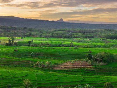 Endonezya 'nın harika gündoğumu manzarası. Parlak gökyüzü ile doğa vadisi ormanı.