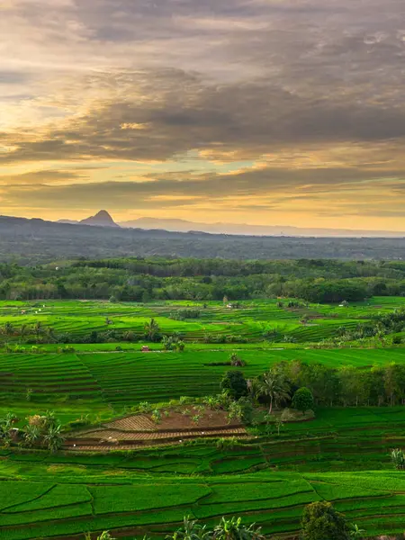 Endonezya 'nın harika gündoğumu manzarası. Parlak gökyüzü ile doğa vadisi ormanı.