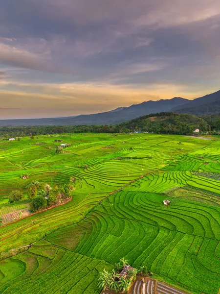 Endonezya 'nın harika gündoğumu manzarası. Parlak gökyüzü ile doğa vadisi ormanı.