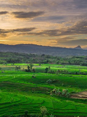 Endonezya 'nın harika gündoğumu manzarası. Parlak gökyüzü ile doğa vadisi ormanı.