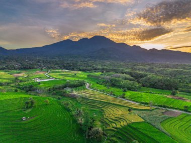 Endonezya 'nın harika gündoğumu manzarası. Parlak gökyüzü ile doğa vadisi ormanı.