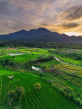 Endonezya 'nın harika gündoğumu manzarası. Parlak gökyüzü ile doğa vadisi ormanı.