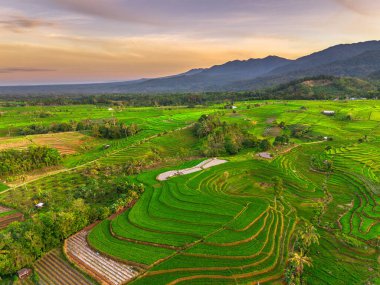 Endonezya 'nın harika gündoğumu manzarası. Parlak gökyüzü ile doğa vadisi ormanı.