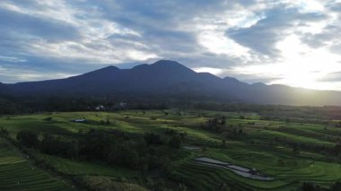 Beautiful morning view indonesia Panorama Landscape paddy fields with beauty color and sky natural light