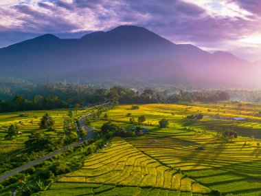 Beautiful morning view indonesia Panorama Landscape paddy fields with beauty color and sky natural light