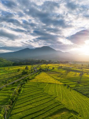 Beautiful morning view indonesia Panorama Landscape paddy fields with beauty color and sky natural light