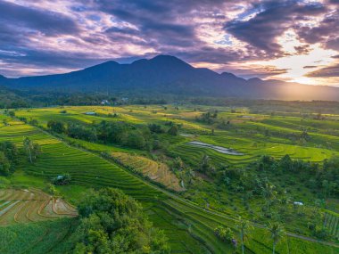 Beautiful morning view indonesia Panorama Landscape paddy fields with beauty color and sky natural light