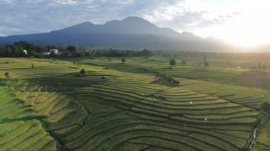Beautiful morning view indonesia Panorama Landscape paddy fields with beauty color and sky natural light