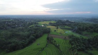 Beautiful morning view indonesia Panorama Landscape paddy fields with beauty color and sky natural light