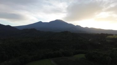 Beautiful morning view indonesia Panorama Landscape paddy fields with beauty color and sky natural light