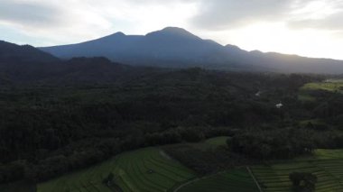 Beautiful morning view indonesia Panorama Landscape paddy fields with beauty color and sky natural light