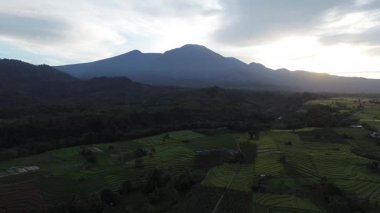 Beautiful morning view indonesia Panorama Landscape paddy fields with beauty color and sky natural light