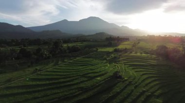 Beautiful morning view indonesia Panorama Landscape paddy fields with beauty color and sky natural light