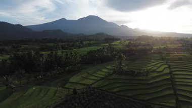 Beautiful morning view indonesia Panorama Landscape paddy fields with beauty color and sky natural light