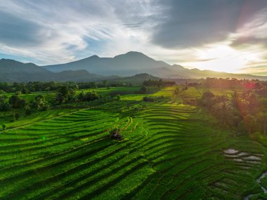 Beautiful morning view indonesia Panorama Landscape paddy fields with beauty color and sky natural light