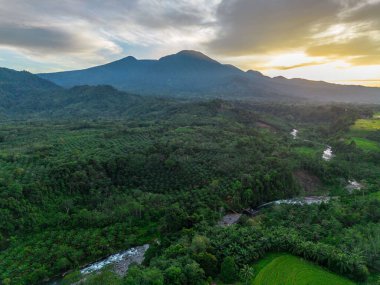 Beautiful morning view indonesia Panorama Landscape paddy fields with beauty color and sky natural light