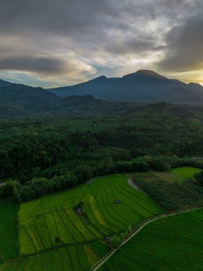 Beautiful morning view indonesia Panorama Landscape paddy fields with beauty color and sky natural light