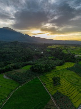Beautiful morning view indonesia Panorama Landscape paddy fields with beauty color and sky natural light
