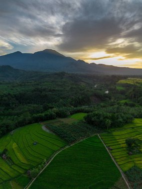 Beautiful morning view indonesia Panorama Landscape paddy fields with beauty color and sky natural light