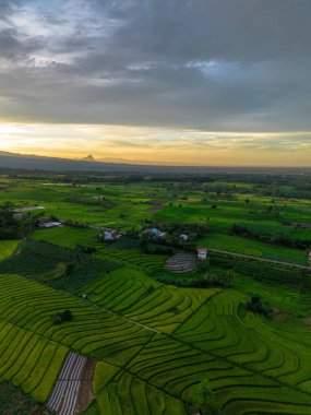 Beautiful morning view indonesia Panorama Landscape paddy fields with beauty color and sky natural light