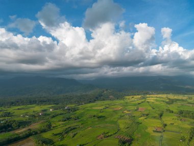 Beautiful morning view indonesia Panorama Landscape paddy fields with beauty color and sky natural light