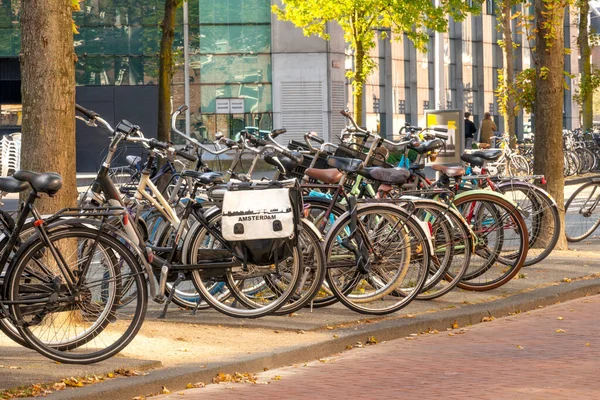 Netherlands Sunny Day Street Amsterdam Many Bicycles Parked Office Building — Stock Photo, Image