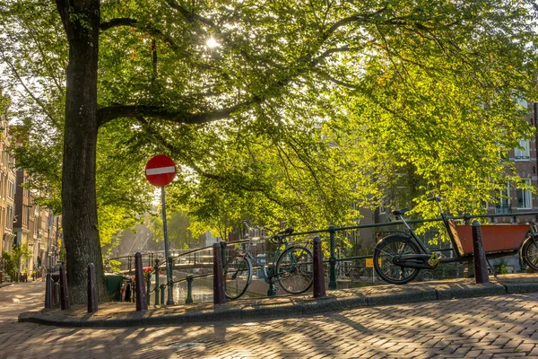 Netherlands Sunny Morning Canal Amsterdam Bicycles Fence Bridge — Stock Photo, Image