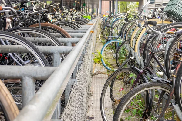 네덜란드 암스테르담 중앙역 근처에 자전거 주차장이에요 자전거가 — 스톡 사진