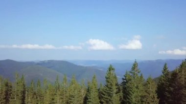 Ukrayna. Karpat dağları ormanla kaplanmış. Ufkun üzerinde ışık bulutları. Hava görünümü