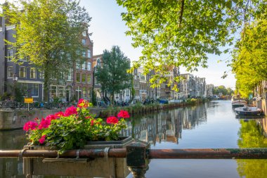 Hollanda 'da. Amsterdam Kanalı 'nda güneşli bir gün. İskelede botlar, tipik Hollanda binaları ve rıhtımdaki bisikletler. Çitteki parlak çiçekler