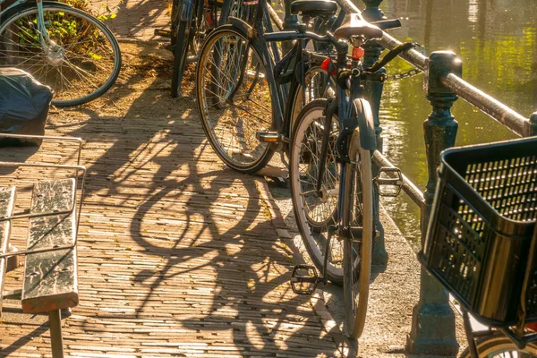 Netherlands Sunny Morning Amsterdam Canal Quay Bicycles Fence Bench — Stock Photo, Image