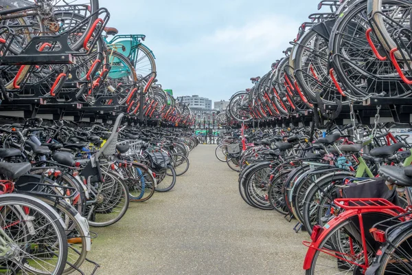 네덜란드 암스테르담 근처에 자전거를 규모의 주차장 — 스톡 사진