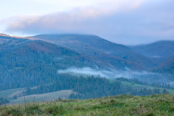 Yazın Erken Saatlerinde Ukrayna Karpatları Dağların Üzerinden Bulut Ağaçlık Tepelerin — Stok fotoğraf