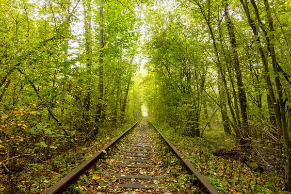 Letní Den Regionu Rivne Ukrajině Tunel Lásky Klevanu Železnice Zataženo — Stock fotografie