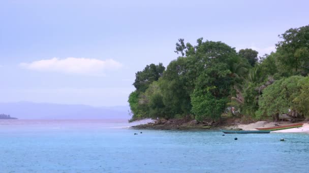 Indonéské Ostrovy Tropické Pobřeží Čluny Zelenou Vegetací — Stock video