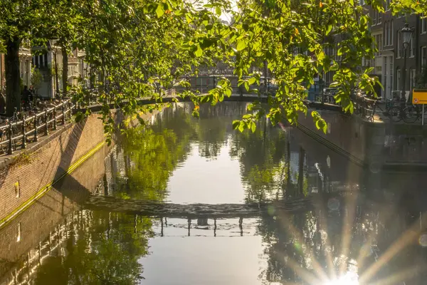Hollandiában Napfényes Reggel Amszterdami Csatornán Gyaloghíd Zöld Lombozat Fényes Nap Stock Fotó