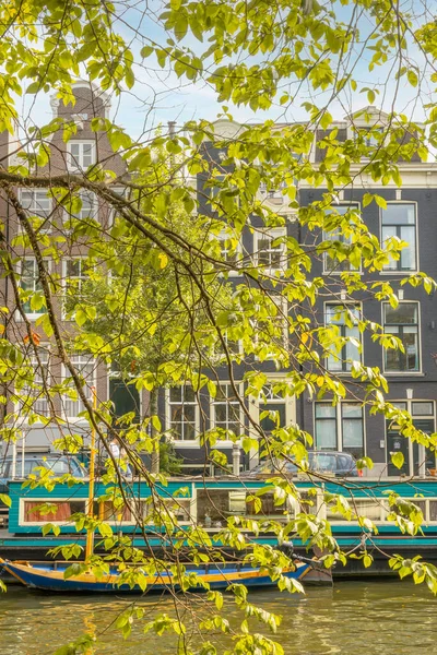 네덜란드 암스테르담의 중심에 운하에 여름날 단풍은 하우스 보트와 보트를 숨깁니다 스톡 사진